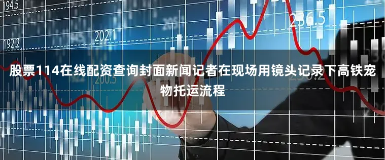 股票114在线配资查询封面新闻记者在现场用镜头记录下高铁宠物托运流程