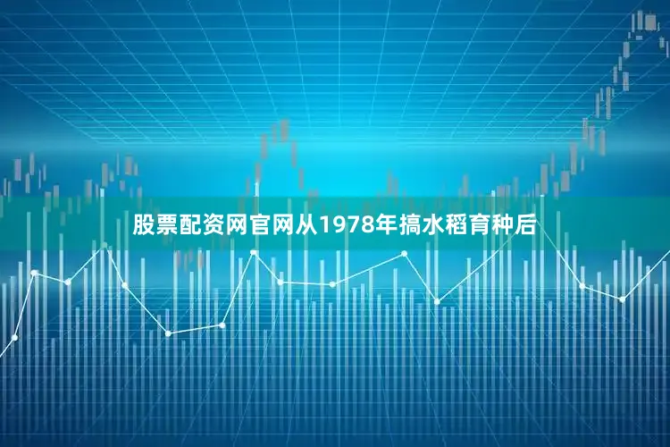 股票配资网官网从1978年搞水稻育种后