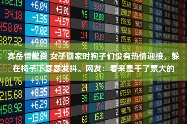 赛岳恒配资 女子回家时狗子们没有热情迎接，躲在椅子下瑟瑟发抖。网友：看来是干了票大的