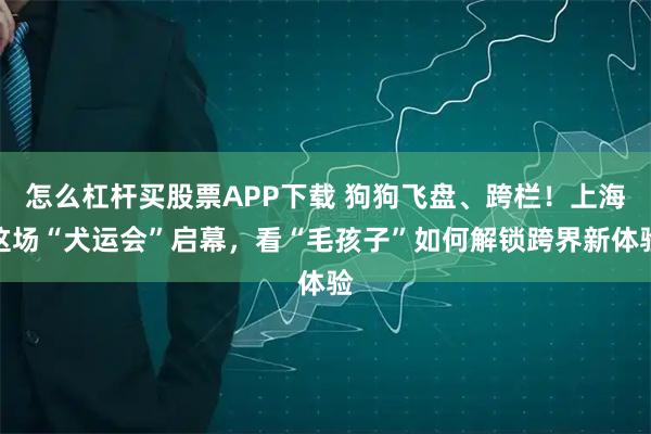 怎么杠杆买股票APP下载 狗狗飞盘、跨栏！上海这场“犬运会”启幕，看“毛孩子”如何解锁跨界新体验