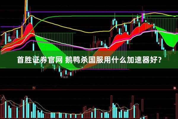 首胜证券官网 鹅鸭杀国服用什么加速器好？