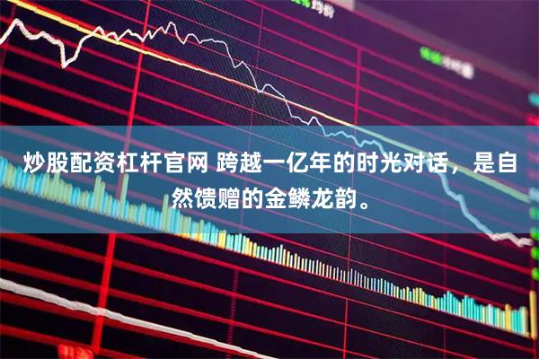 炒股配资杠杆官网 跨越一亿年的时光对话，是自然馈赠的金鳞龙韵。