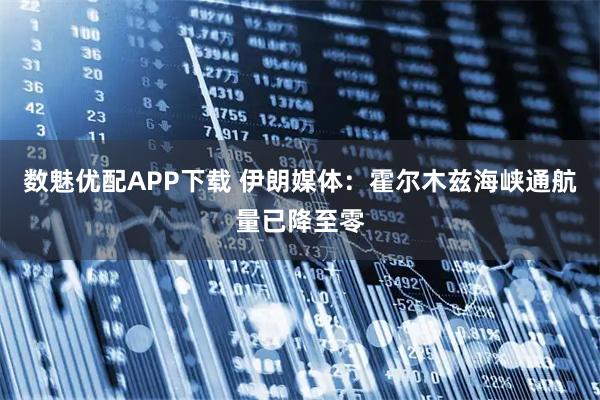 数魅优配APP下载 伊朗媒体：霍尔木兹海峡通航量已降至零